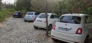 Rental cars